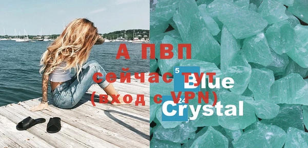 a pvp Пересвет