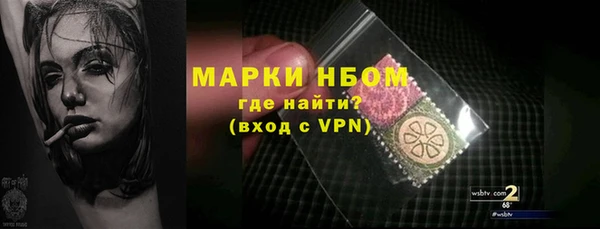 a pvp Пересвет