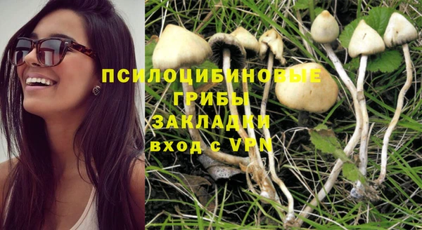ECSTASY Пестово
