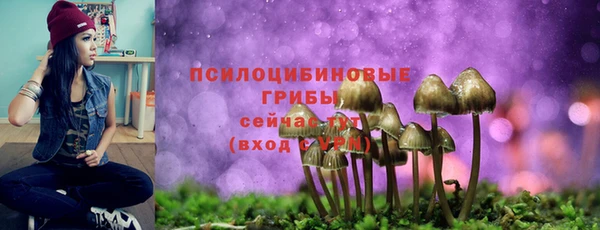 COCAINE Переславль-Залесский
